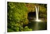 Rainbow Falls in Wailuku State Park on the edge of Hilo, Hawaii, USA-Jerry Ginsberg-Framed Photographic Print