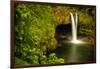 Rainbow Falls in Wailuku State Park on the edge of Hilo, Hawaii, USA-Jerry Ginsberg-Framed Photographic Print