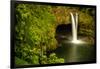 Rainbow Falls in Wailuku State Park on the edge of Hilo, Hawaii, USA-Jerry Ginsberg-Framed Photographic Print