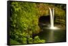 Rainbow Falls in Wailuku State Park on the edge of Hilo, Hawaii, USA-Jerry Ginsberg-Framed Stretched Canvas