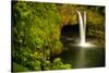 Rainbow Falls in Wailuku State Park on the edge of Hilo, Hawaii, USA-Jerry Ginsberg-Stretched Canvas