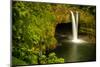 Rainbow Falls in Wailuku State Park on the edge of Hilo, Hawaii, USA-Jerry Ginsberg-Mounted Photographic Print