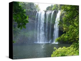 Rainbow Falls, Kerikeri, Northland, New Zealand-David Wall-Stretched Canvas