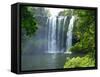 Rainbow Falls, Kerikeri, Northland, New Zealand-David Wall-Framed Stretched Canvas