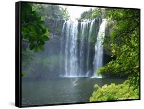 Rainbow Falls, Kerikeri, Northland, New Zealand-David Wall-Framed Stretched Canvas