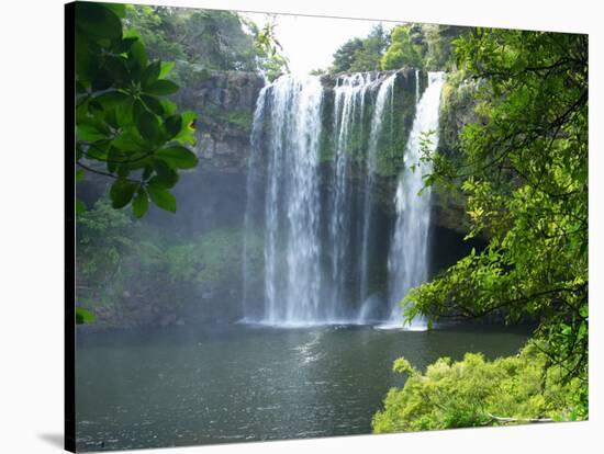 Rainbow Falls, Kerikeri, Northland, New Zealand-David Wall-Stretched Canvas