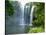 Rainbow Falls, Kerikeri, Northland, New Zealand-David Wall-Stretched Canvas