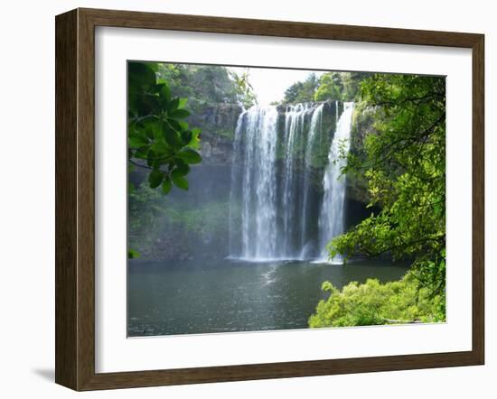 Rainbow Falls, Kerikeri, Northland, New Zealand-David Wall-Framed Premium Photographic Print