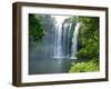 Rainbow Falls, Kerikeri, Northland, New Zealand-David Wall-Framed Premium Photographic Print