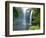 Rainbow Falls, Kerikeri, Northland, New Zealand-David Wall-Framed Photographic Print