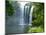 Rainbow Falls, Kerikeri, Northland, New Zealand-David Wall-Mounted Photographic Print