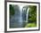 Rainbow Falls, Kerikeri, Northland, New Zealand-David Wall-Framed Photographic Print