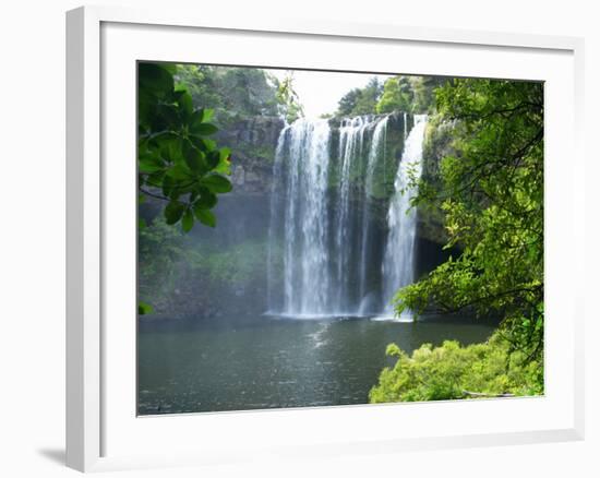 Rainbow Falls, Kerikeri, Northland, New Zealand-David Wall-Framed Photographic Print