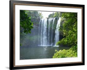 Rainbow Falls, Kerikeri, Northland, New Zealand-David Wall-Framed Photographic Print