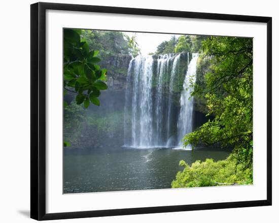 Rainbow Falls, Kerikeri, Northland, New Zealand-David Wall-Framed Photographic Print