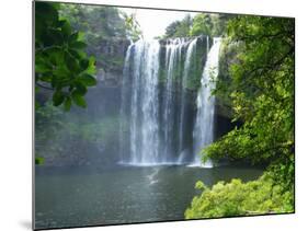 Rainbow Falls, Kerikeri, Northland, New Zealand-David Wall-Mounted Photographic Print