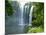 Rainbow Falls, Kerikeri, Northland, New Zealand-David Wall-Mounted Photographic Print