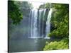 Rainbow Falls, Kerikeri, Northland, New Zealand-David Wall-Stretched Canvas