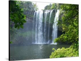 Rainbow Falls, Kerikeri, Northland, New Zealand-David Wall-Stretched Canvas