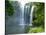 Rainbow Falls, Kerikeri, Northland, New Zealand-David Wall-Stretched Canvas