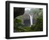 Rainbow Falls, Near Hilo, Island of Hawaii (Big Island), Hawaii, USA-Ethel Davies-Framed Photographic Print