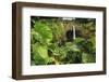 Rainbow Falls, Wailuku River State Park Hilo, Big Island, Hawaii, USA-Stuart Westmorland-Framed Photographic Print