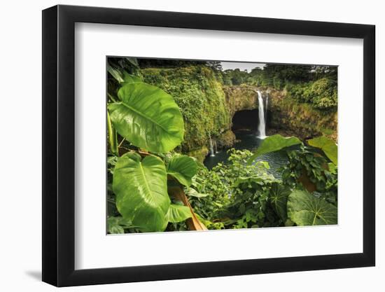 Rainbow Falls, Wailuku River State Park Hilo, Big Island, Hawaii, USA-Stuart Westmorland-Framed Photographic Print