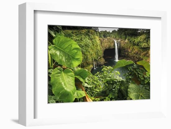 Rainbow Falls, Wailuku River State Park Hilo, Big Island, Hawaii, USA-Stuart Westmorland-Framed Photographic Print