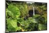 Rainbow Falls, Wailuku River State Park Hilo, Big Island, Hawaii, USA-Stuart Westmorland-Mounted Photographic Print