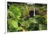 Rainbow Falls, Wailuku River State Park Hilo, Big Island, Hawaii, USA-Stuart Westmorland-Framed Photographic Print