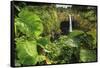 Rainbow Falls, Wailuku River State Park Hilo, Big Island, Hawaii, USA-Stuart Westmorland-Framed Stretched Canvas