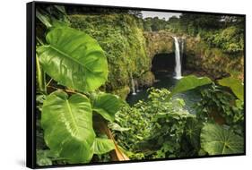 Rainbow Falls, Wailuku River State Park Hilo, Big Island, Hawaii, USA-Stuart Westmorland-Framed Stretched Canvas