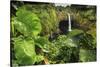 Rainbow Falls, Wailuku River State Park Hilo, Big Island, Hawaii, USA-Stuart Westmorland-Stretched Canvas