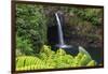 Rainbow Falls, Wailuku River State Park Hilo, Big Island, Hawaii, USA-Stuart Westmorland-Framed Photographic Print