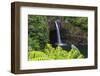 Rainbow Falls, Wailuku River State Park Hilo, Big Island, Hawaii, USA-Stuart Westmorland-Framed Photographic Print