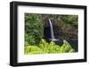 Rainbow Falls, Wailuku River State Park Hilo, Big Island, Hawaii, USA-Stuart Westmorland-Framed Photographic Print