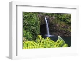 Rainbow Falls, Wailuku River State Park Hilo, Big Island, Hawaii, USA-Stuart Westmorland-Framed Photographic Print