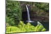 Rainbow Falls, Wailuku River State Park Hilo, Big Island, Hawaii, USA-Stuart Westmorland-Mounted Photographic Print