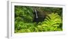 Rainbow Falls, Wailuku River State Park, Hilo, the Big Island, Hawaii, Usa-Russ Bishop-Framed Photographic Print