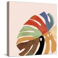 Rainbow Fern I-Aimee Wilson-Stretched Canvas