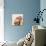 Rainbow Fern I-Aimee Wilson-Premium Giclee Print displayed on a wall