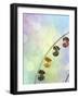 Rainbow Ferris Wheel V-Sylvia Coomes-Framed Photographic Print