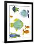 Rainbow Fish I-Callie Crosby and Rebecca Daw-Framed Giclee Print