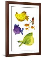 Rainbow Fish II-Callie Crosby and Rebecca Daw-Framed Giclee Print