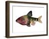 Rainbow Fish IV-Emma Scarvey-Framed Art Print