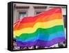Rainbow Flag-RDStockPhotos-Framed Stretched Canvas
