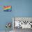 Rainbow Flag-RDStockPhotos-Mounted Photographic Print displayed on a wall