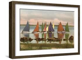 Rainbow Fleet, Nantucket, Massachusetts-null-Framed Art Print