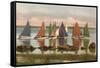 Rainbow Fleet, Nantucket, Massachusetts-null-Framed Stretched Canvas