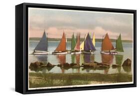 Rainbow Fleet, Nantucket, Massachusetts-null-Framed Stretched Canvas